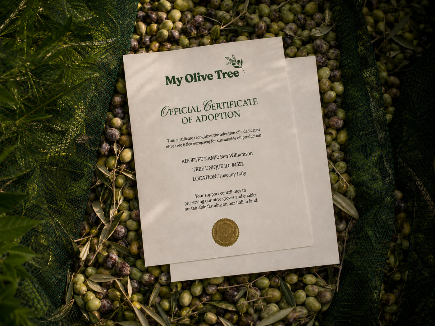 Personalized olive tree adoption certificate
